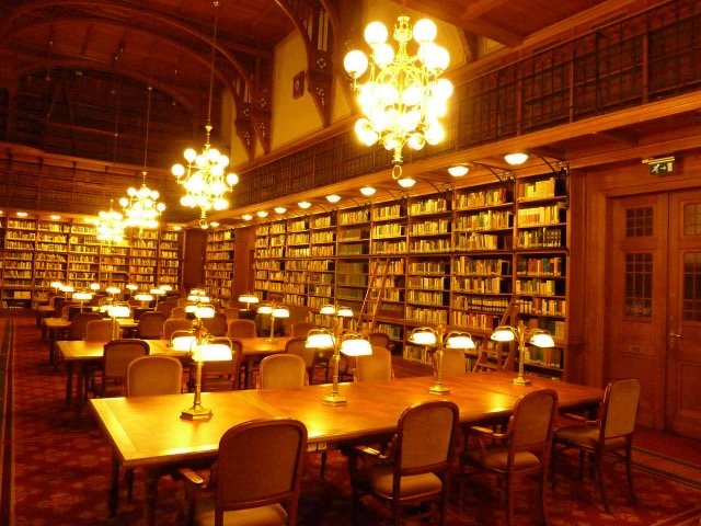 Asztalos referencia munka – könyvtári beépített bútor